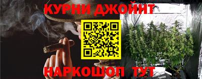 apvp Камышлов