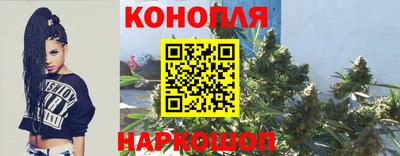 apvp Камышлов