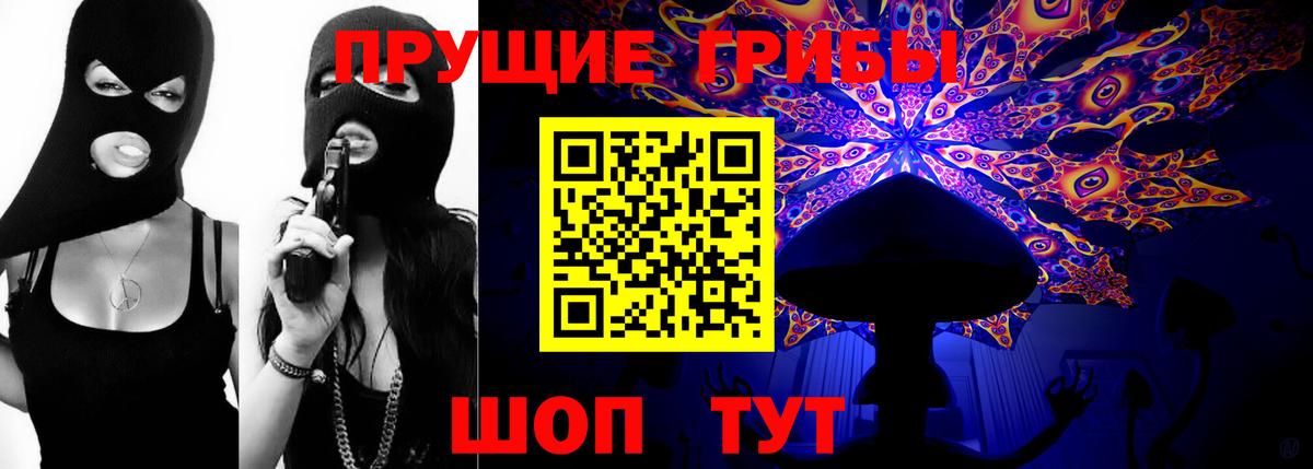 Грозный  купить наркотики цена  Вход с VPN  Галлюциногенные грибы Psilocybine cubensis 