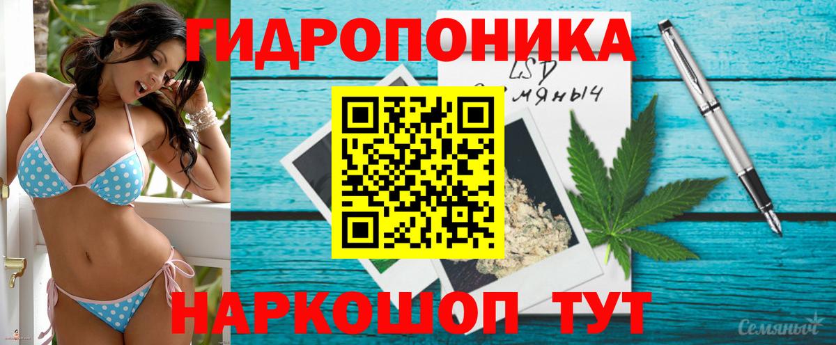 Бошки Шишки VHQ Грозный